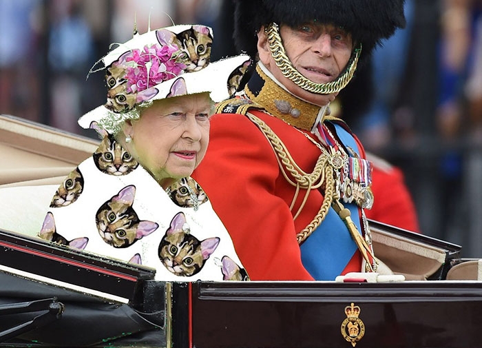 queen-elizabeth-green-screen-dress-funny-photoshop-battle-7