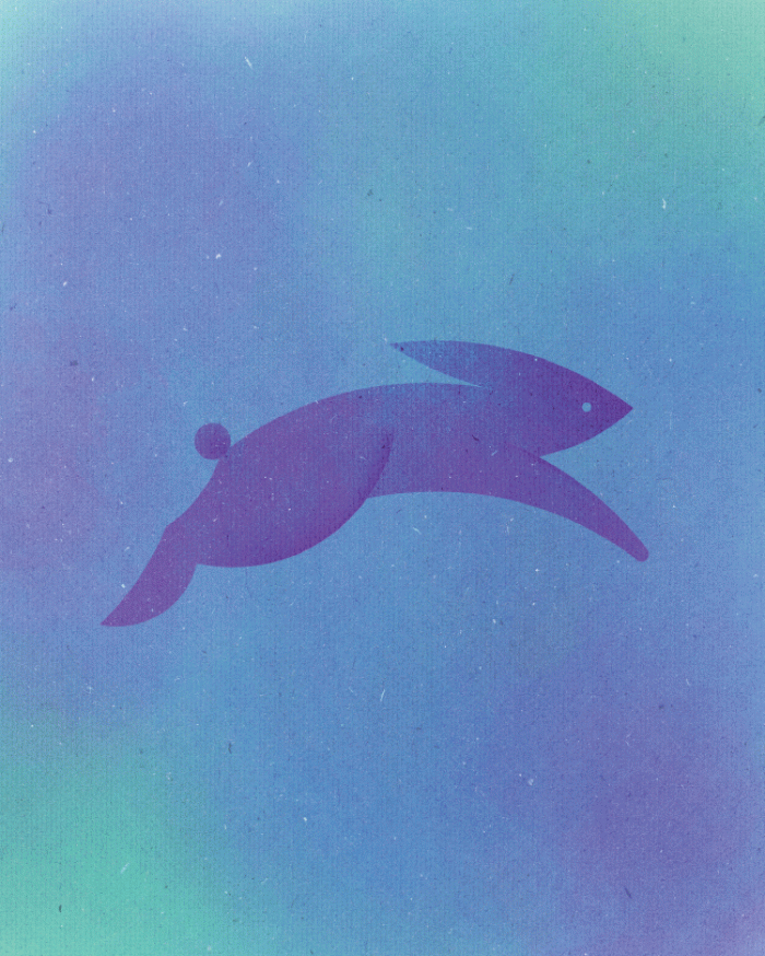 13-animals-out-of-13-circles-dorota-pankowska-10