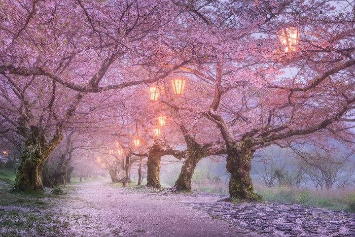 beautiful-places-tourist-attractions-japan-9