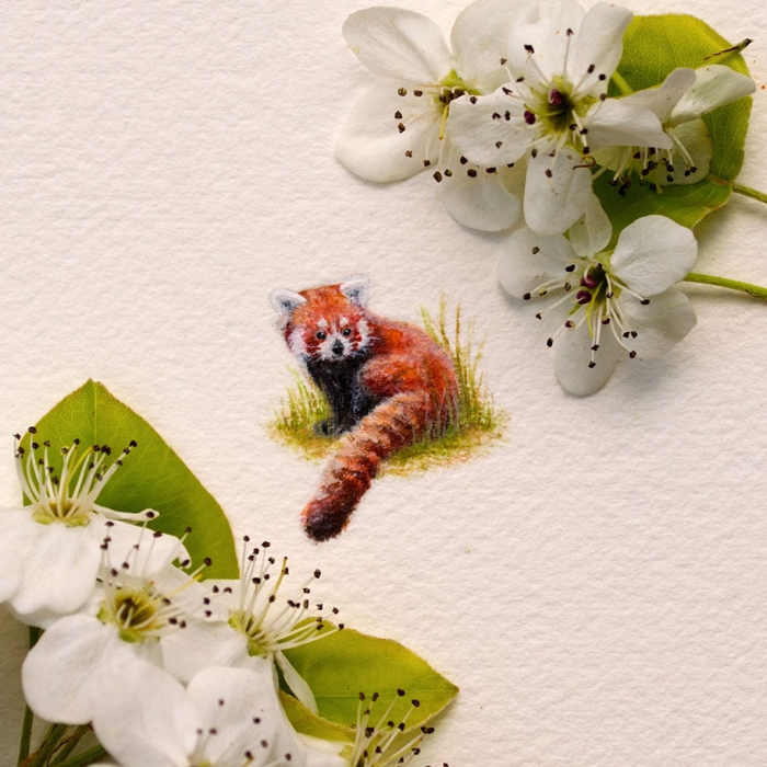 cute-miniature-watercolor-paintings-rachel-beltz-13