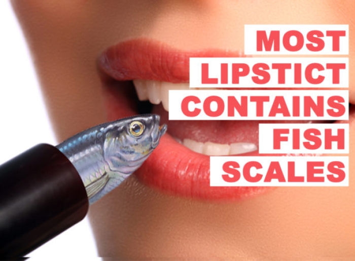– Are you aware that one of the key ingredients in manufacturing lipstick is fish scales?