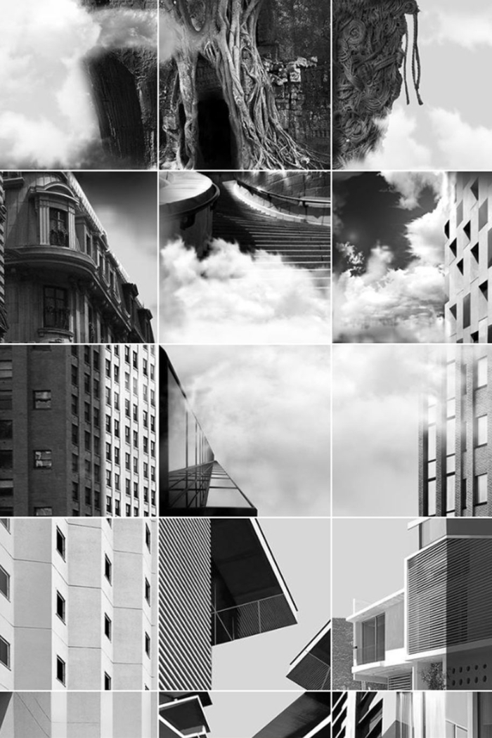 Concrete Jungle
