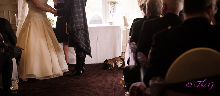9-year-old-young-wedding-photographer-regina-wyllie-58