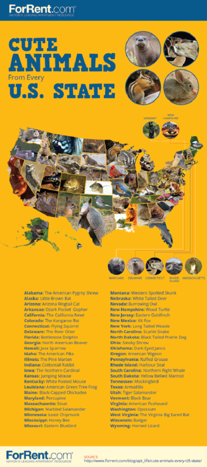 The Cutest Animals in the US