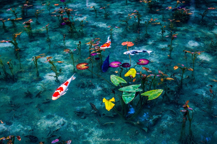 japan-rainy-season-photography-hidenobu-suzuki-3
