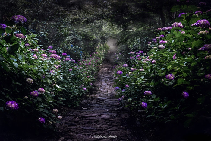 japan-rainy-season-photography-hidenobu-suzuki-7