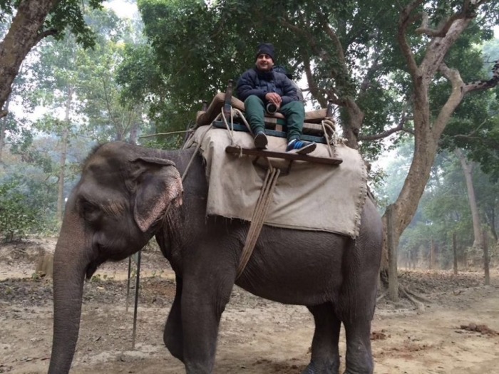 Elephant Safari