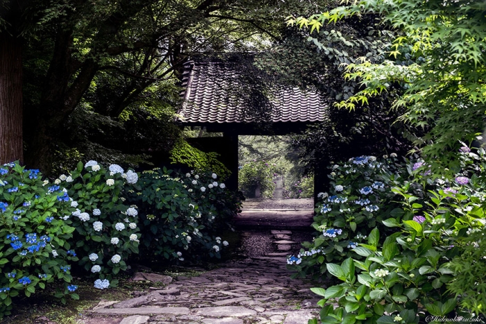 japan-rainy-season-photography-hidenobu-suzuki-6