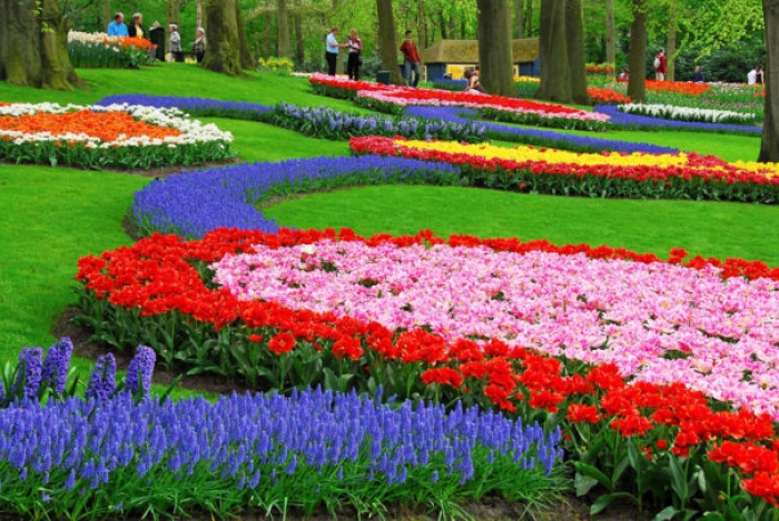 Rich colours