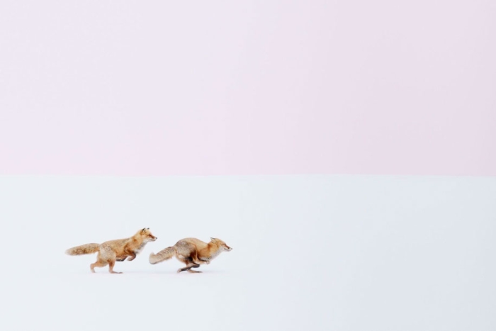 national-geographic-best-travel-photos-2016-winners-7