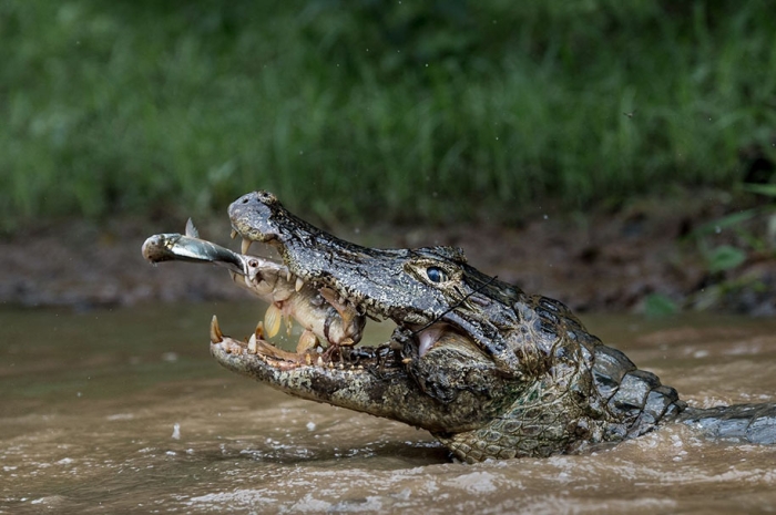 national-geographic-best-travel-photos-2016-winners-12