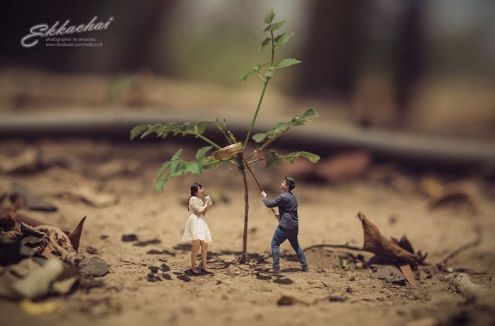 miniature-wedding-photography-ekkachai-saelow-thailand-8
