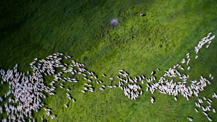 drone-photography-contest-2016-dronestagram-7