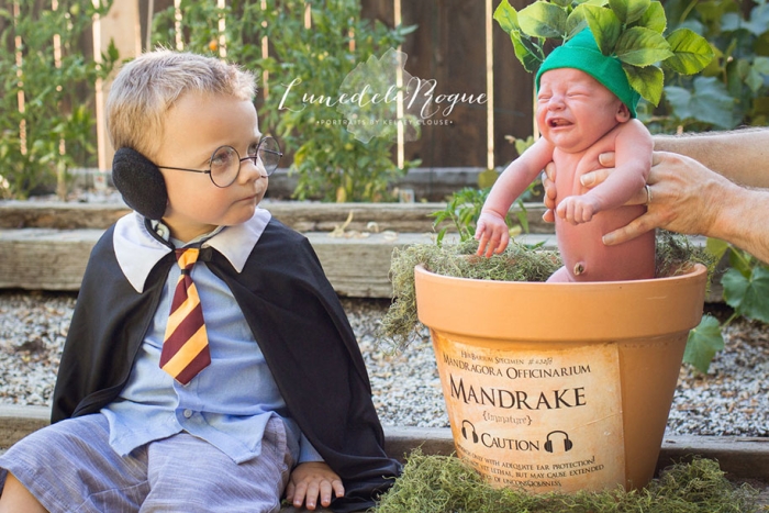 harry-potter-themed-newborn-photoshoot-kelsey-clouse-3
