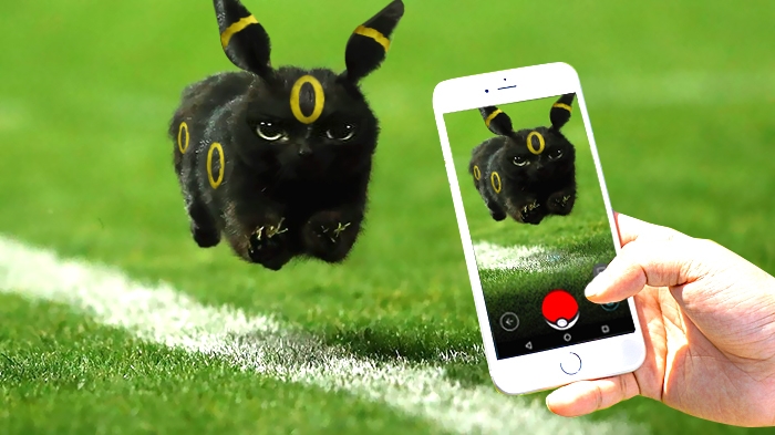 flying-rugby-cat-photoshop-battle-15