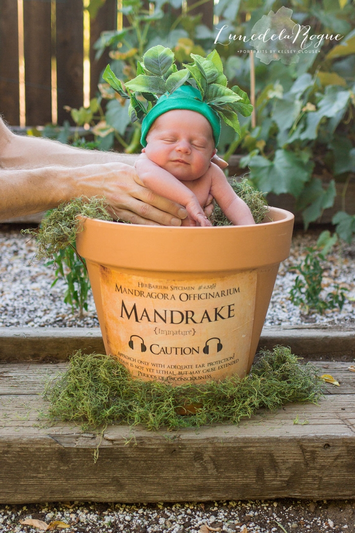 harry-potter-themed-newborn-photoshoot-kelsey-clouse-1