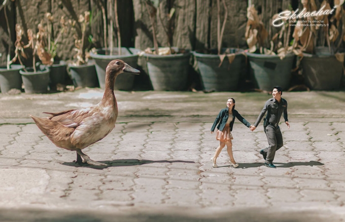 miniature-wedding-photography-ekkachai-saelow-thailand-13
