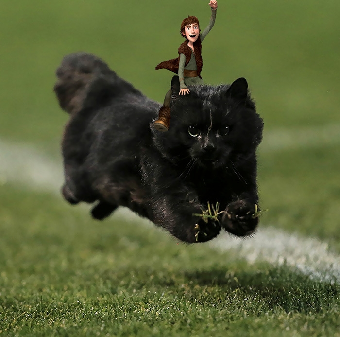 flying-rugby-cat-photoshop-battle-3