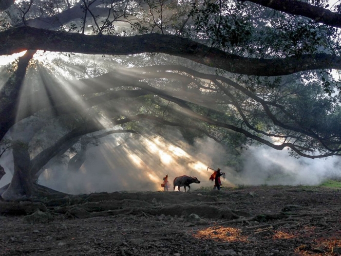 winners-best-iphone-photography-awards-2016-15