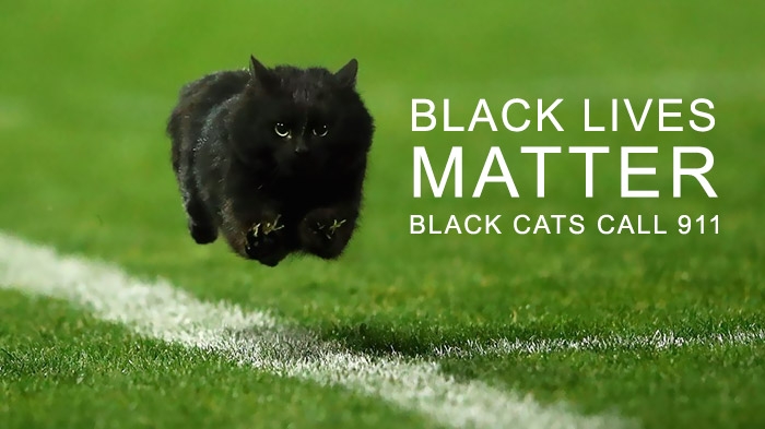flying-rugby-cat-photoshop-battle-11
