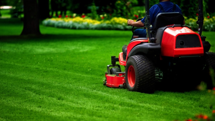 Lawn Maintenance