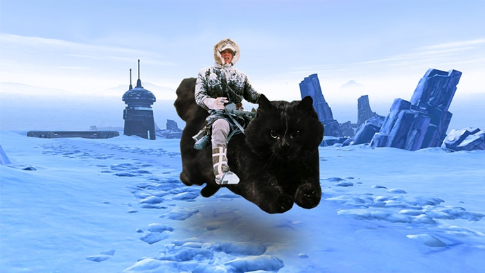 flying-rugby-cat-photoshop-battle-10