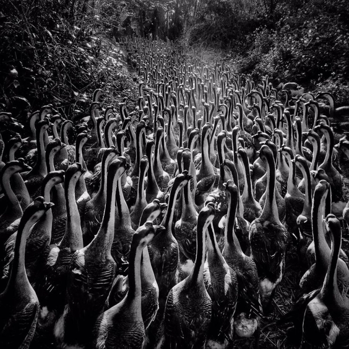 winners-best-iphone-photography-awards-2016-3