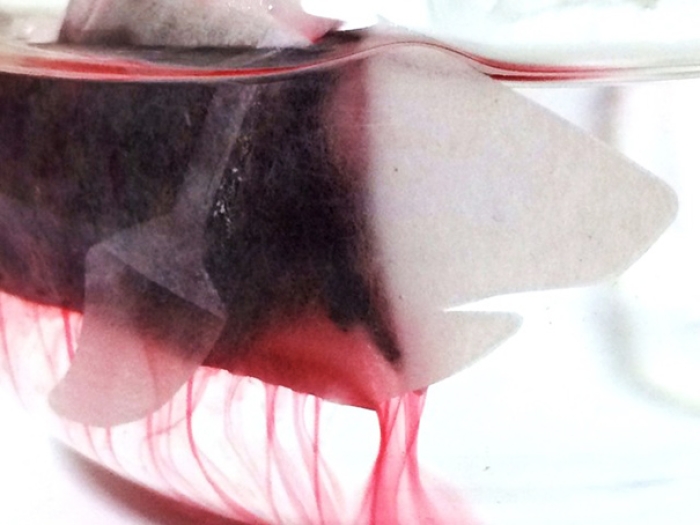 blood-red-tea-shark-teabag-daisho-fisheries-japan-22