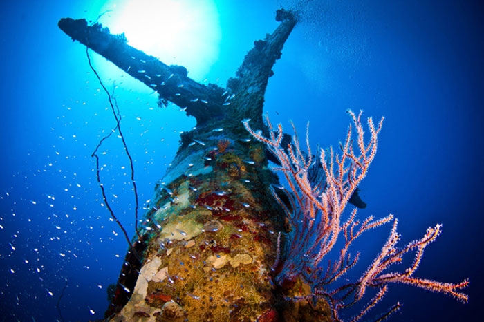 underwater-plane-graveyard-wwii-brandi-mueller-30