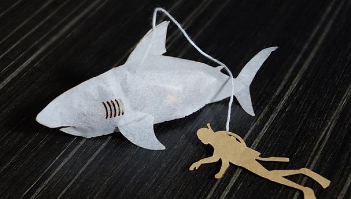 blood-red-tea-shark-teabag-daisho-fisheries-japan-1