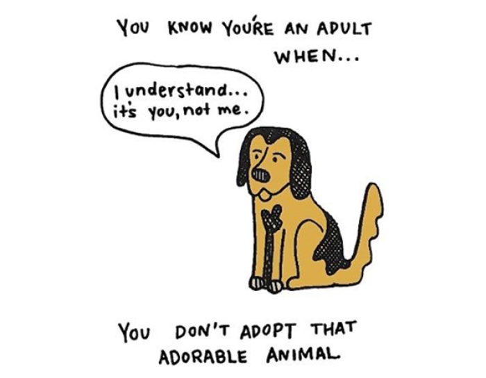 funny-illustrations-prove-you-are-adult-cristina-vanko-3