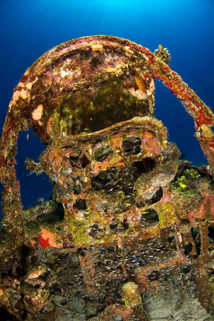 underwater-plane-graveyard-wwii-brandi-mueller-20