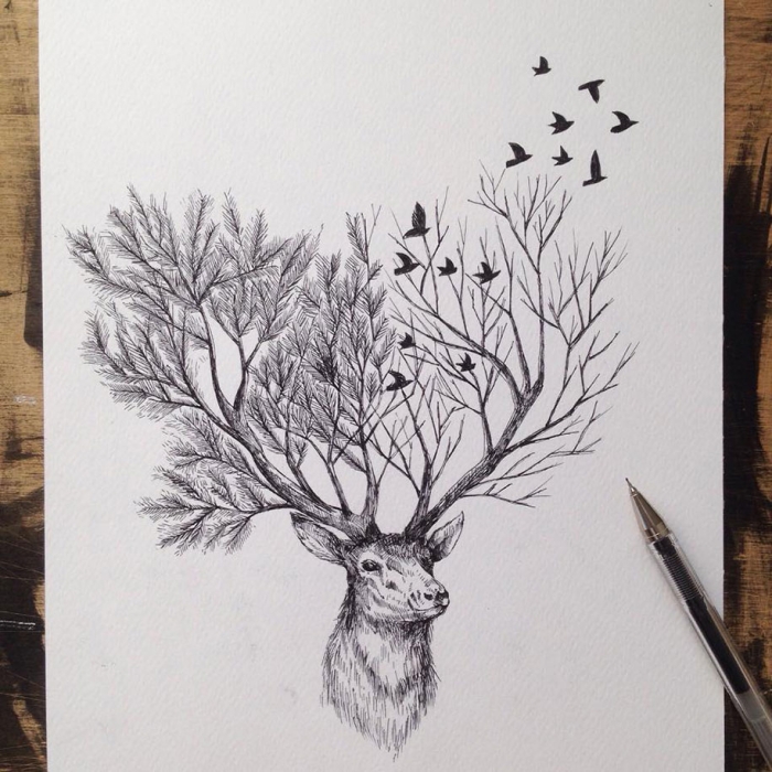 pen-ink-animal-trees-illustrations-alfred-basha-4
