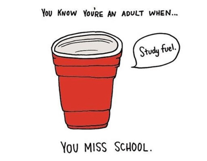 funny-illustrations-prove-you-are-adult-cristina-vanko-9
