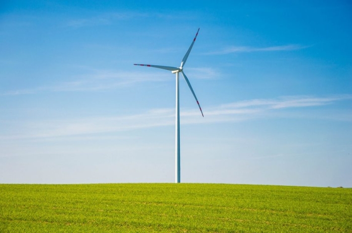 Wind In The Sales
