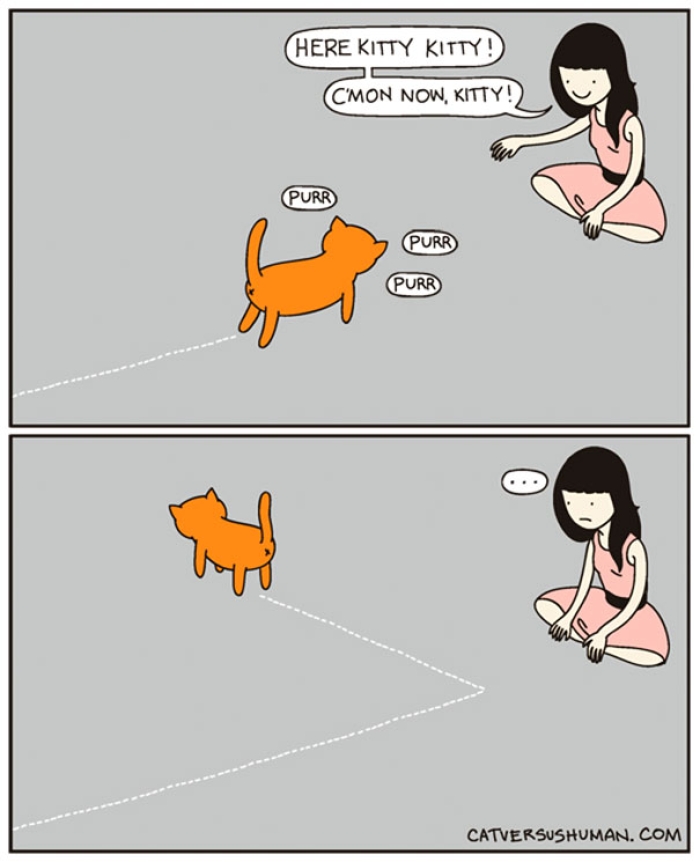 funny-comics-cat-vs-human-yasmine-surovec-1