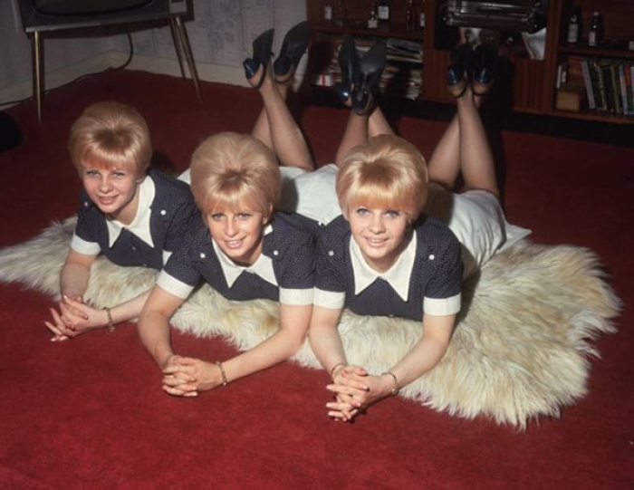 vintage-hairstyles-big-hair-1960s-4