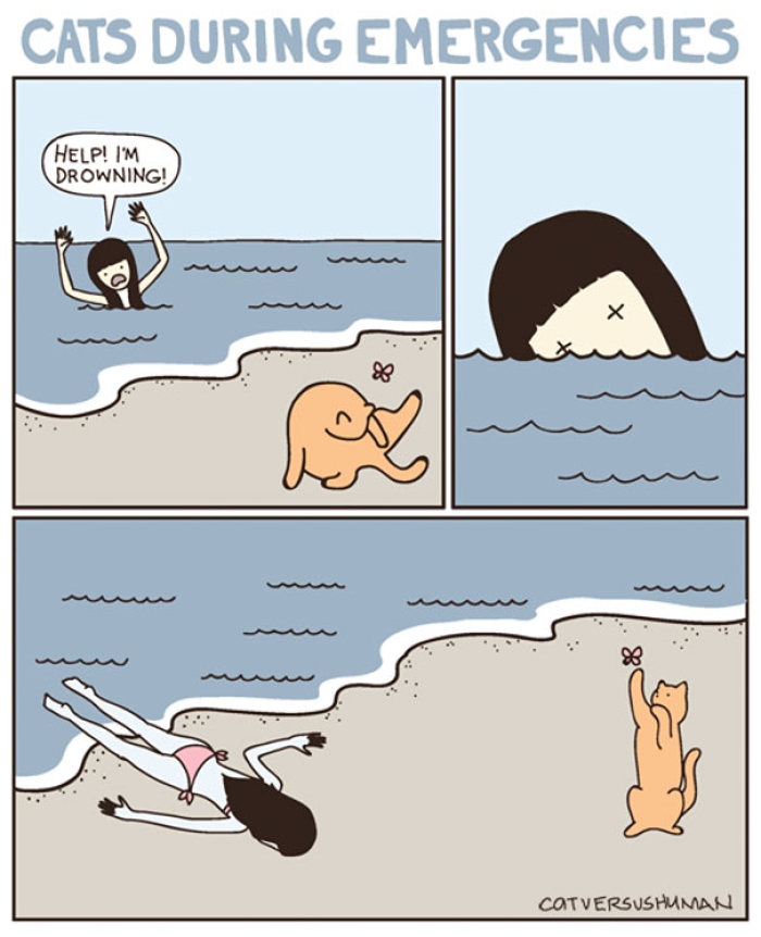 funny-comics-cat-vs-human-yasmine-surovec-6