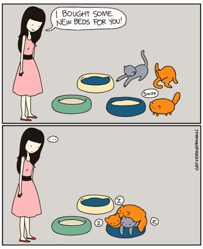 funny-comics-cat-vs-human-yasmine-surovec-8
