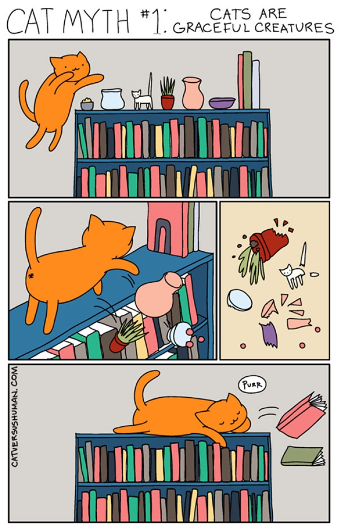 funny-comics-cat-vs-human-yasmine-surovec-3