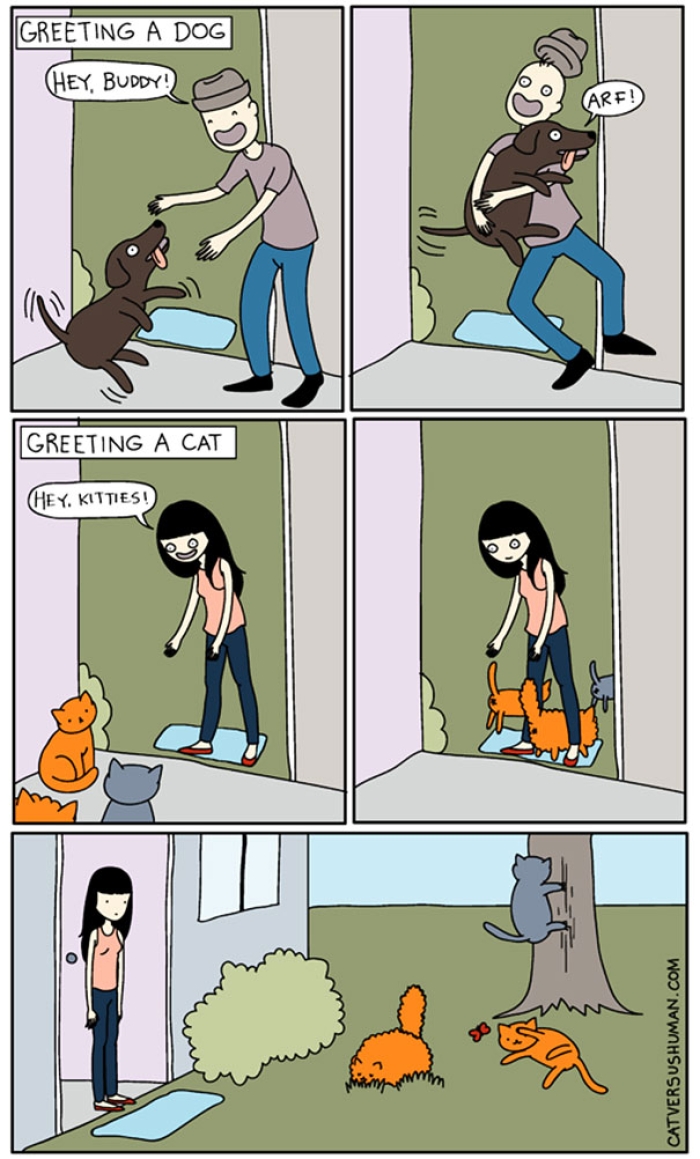 funny-comics-cat-vs-human-yasmine-surovec-11