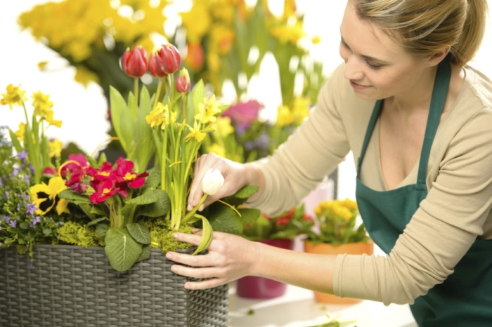 Florist arrange spring flowers colorful