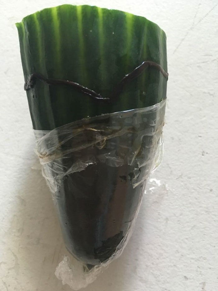 rob-tesco-cucumber-worm-complaint-wes-metcalfe-4