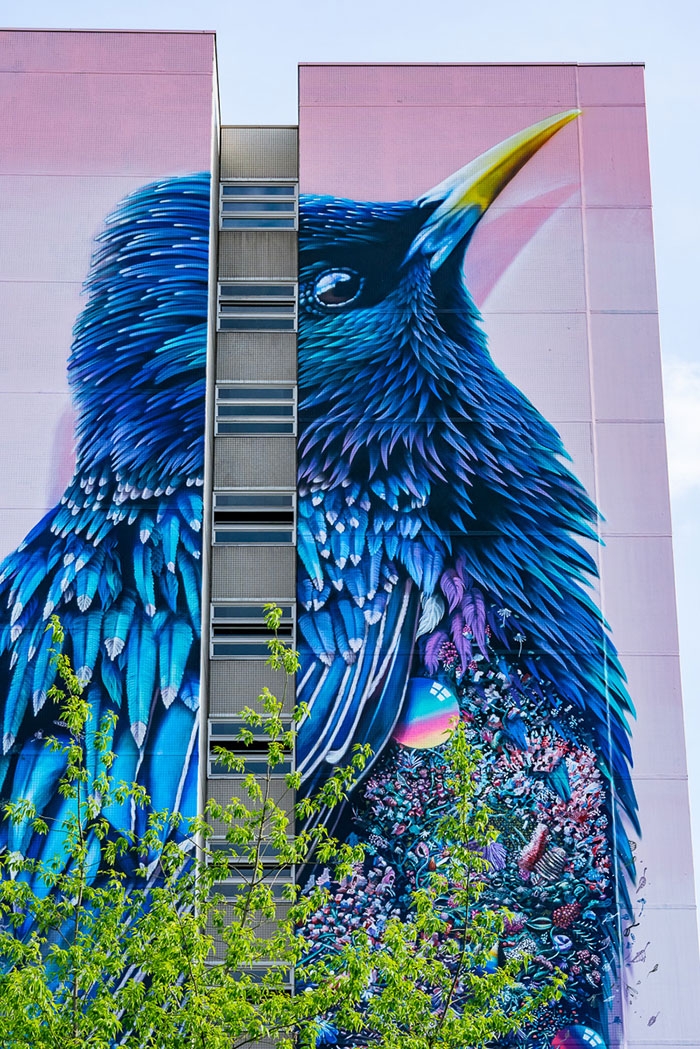 giant-starling-mural-berlin-collin-van-der-sluijs-super-a-3