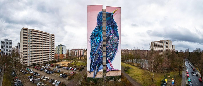 giant-starling-mural-berlin-collin-van-der-sluijs-super-a-7