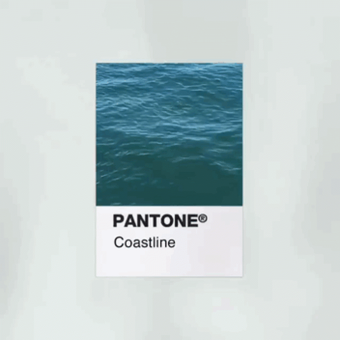 coastline
