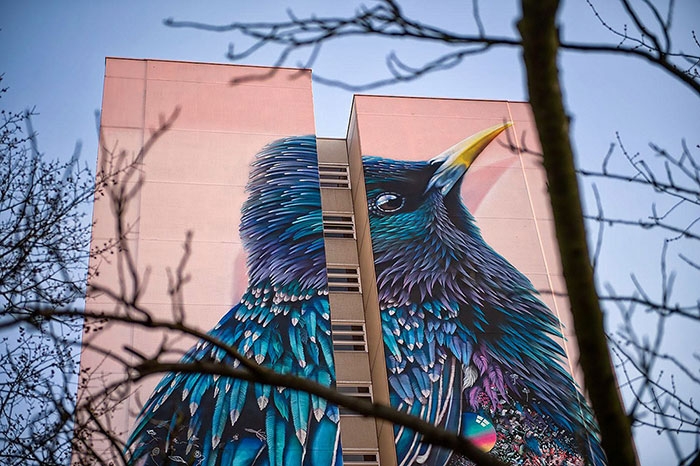 giant-starling-mural-berlin-collin-van-der-sluijs-super-a-4