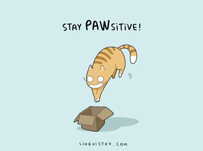 cute-illustrated-cat-puns-lingvistov-9