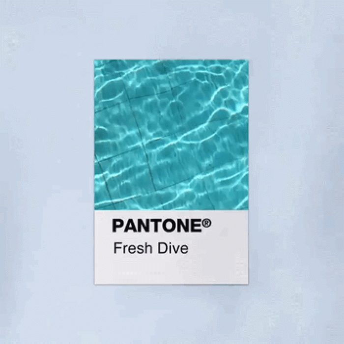 fresh_dive