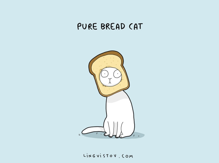 cute-illustrated-cat-puns-lingvistov-2